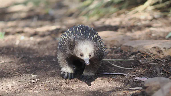 Monthly Update: Feb '26