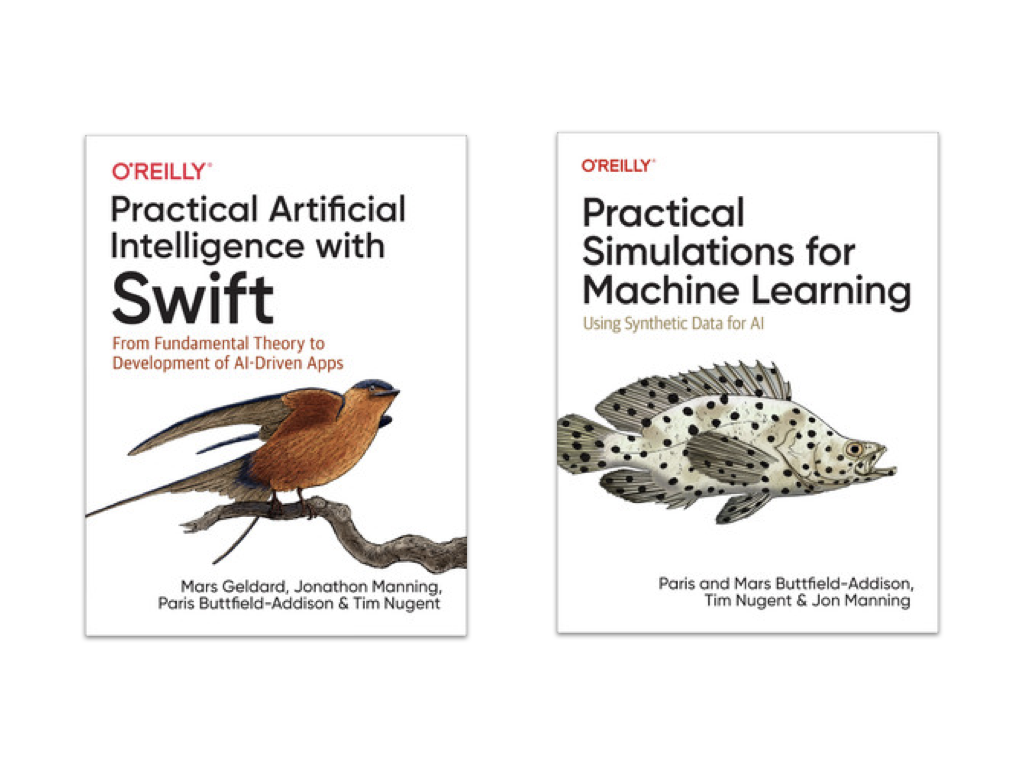O&rsquo;Reilly books on AI and ML that we wrote